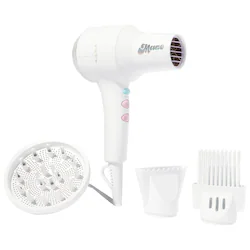 Mane This Totally Blows! Ionic Compact Hair Dryer